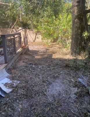 Decision Precision - Tree Technicians