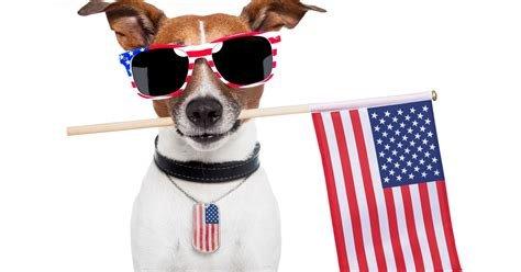 20% Off in any Services until July 4th