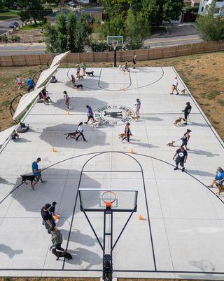 Word of Mouth Dog Training