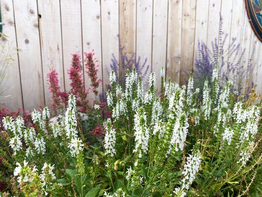 Landscape company cover photo