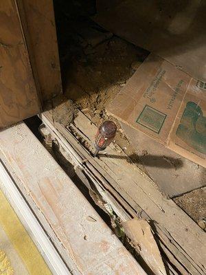 Evan Grugett Inspections