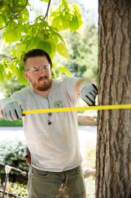 Flatirons Arbor Care