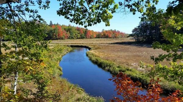 Fall in Kennebunk, Maine