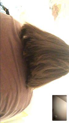 MasterCuts