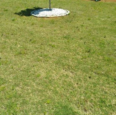 Cesar's Property Management