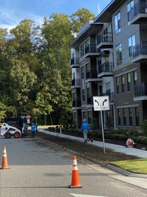 Bay Area Landscaping