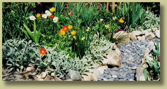 St Francis Landscape & Gardening