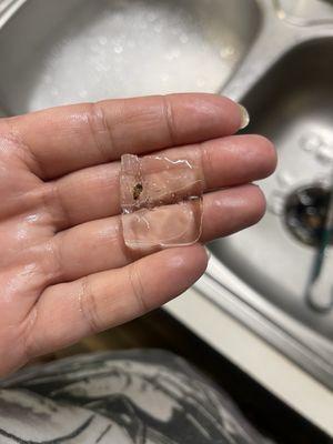 Frozen roach