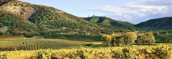 Premier Lending & Real Estate