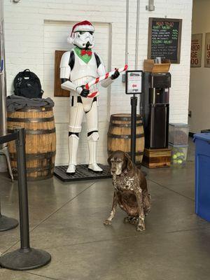 Liability Brewing Company