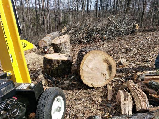 SNL Professional Services