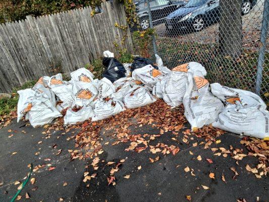 Pats Landscaping & Junk Removal