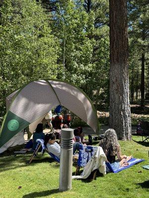 Pickin' in the Pines