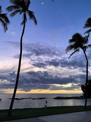 Hawaii Luxury Chauffeur