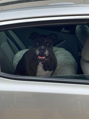 Phillips Creek Veterinary Hospital