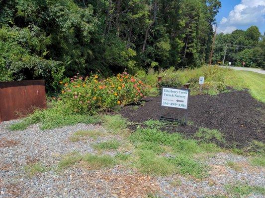 Elderberry Creek Farm & Nursery