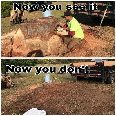 A & L Landscaping and Tree Services