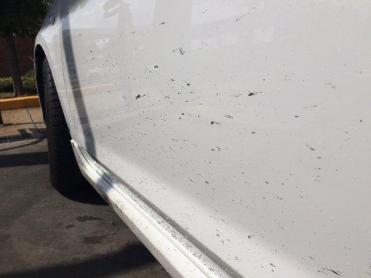 These were taken at the vacuum area AFTER the car wash. None of the dirt was removed!