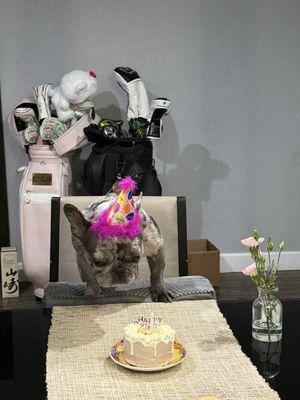 Friends Fur Ever Pet Food & Supplies