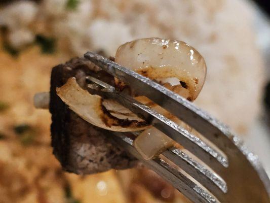 Cedars Lebanese Restaurant