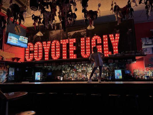 Coyote Ugly