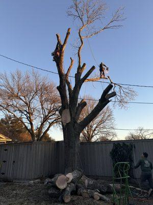 JP Tree Services, LLC