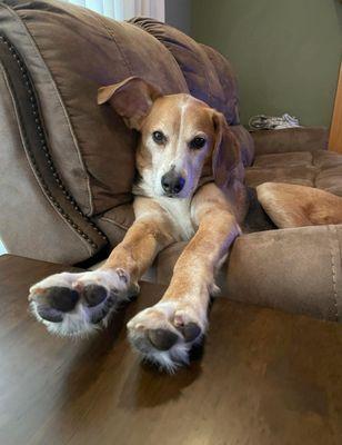 Eastman Animal Hospital