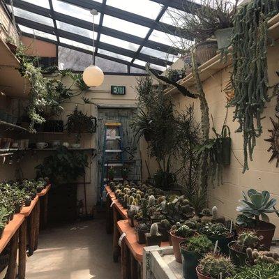 Don't you want them all?