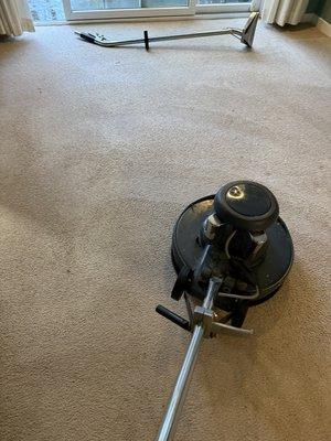 Davids Carpet And Upholstery Cleaning