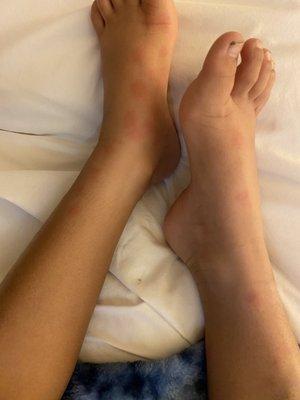 Days Inn by Wyndham Chambers Near the Petrified Forest East