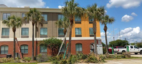 Rosemary The Gardener