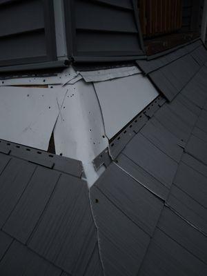 Let Jose Do The Labor For You