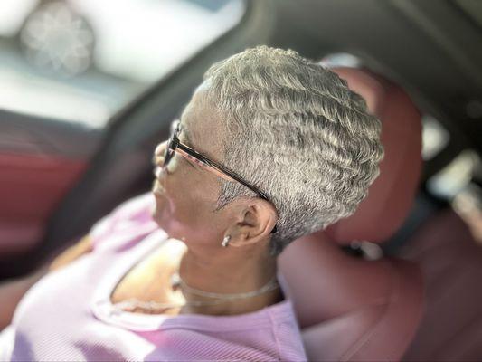 Ogle School - North Houston