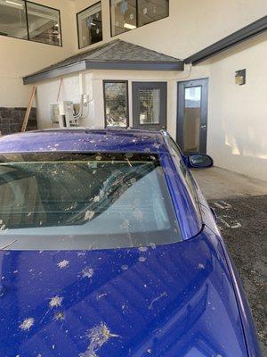 Crystal Clear Windows