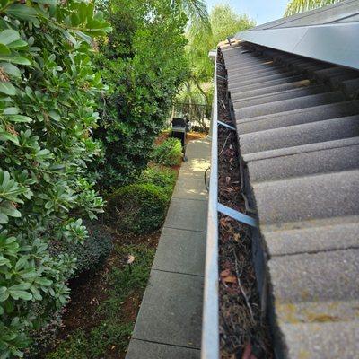 Dirty Gutters before Cleaning
