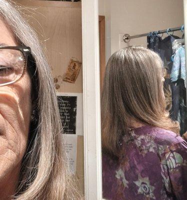 Training Center for Ginger & Maude