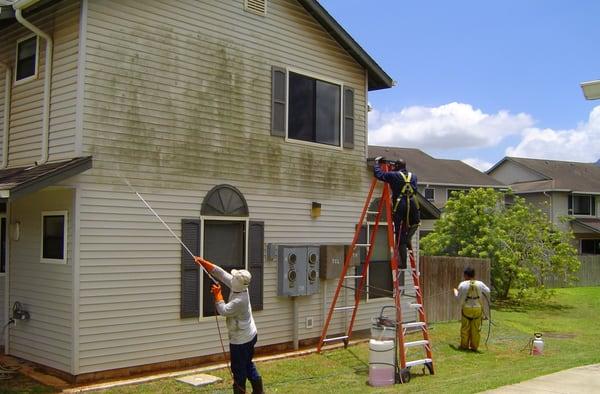 Sparkle Wash Northwest