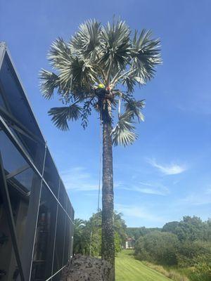 Wyatt Wnukowski Landscaping