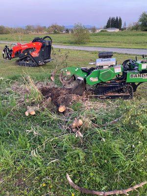 JT's Stump Grinding