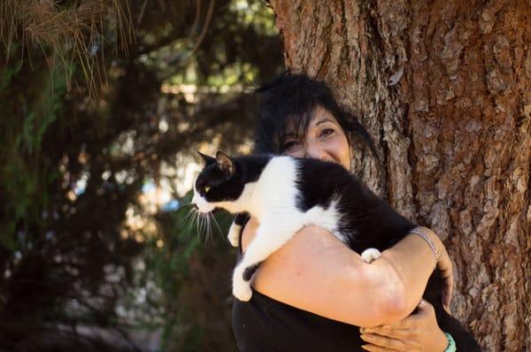 Certified Feline Trainer & Behavioral Specialist