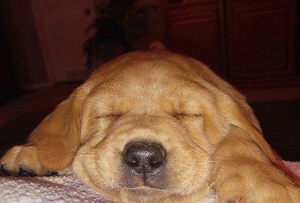 Southern Indiana Blue River Labs