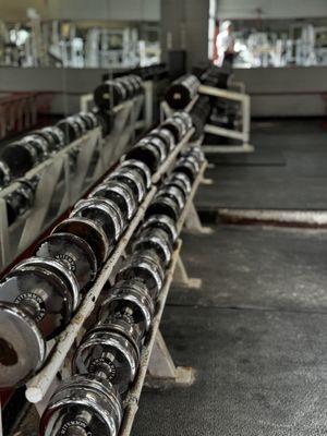 Plenty of free weights