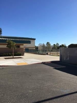 Basketball and baseball