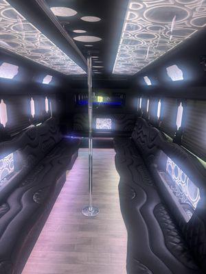 30 Passengers Party Bus