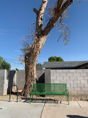 Perfect Tree Removal & Trimming