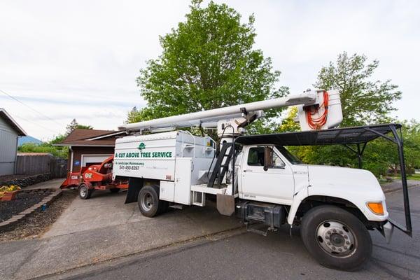 A Cut Above Tree Service