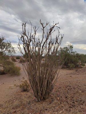 T.L.C. Air Conditioning And Heating