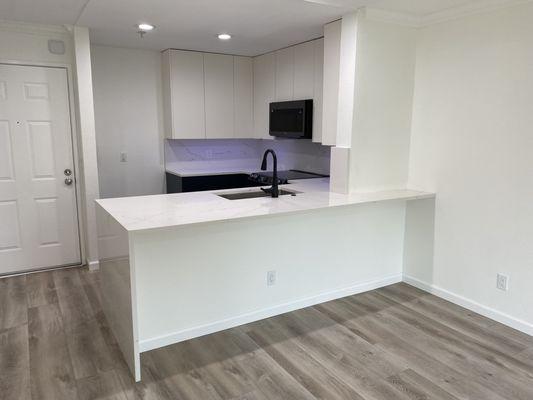 New waterfall counter tops and euro cabinets