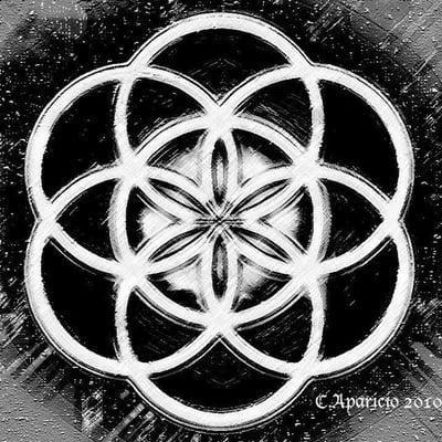 Magical Om Housecalls