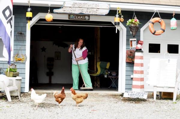 Nadine aka Mother Shucker hard at work!